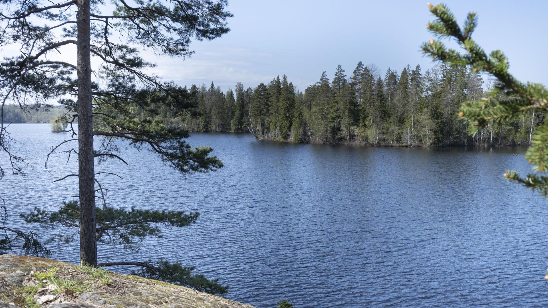 naturbild med sjö