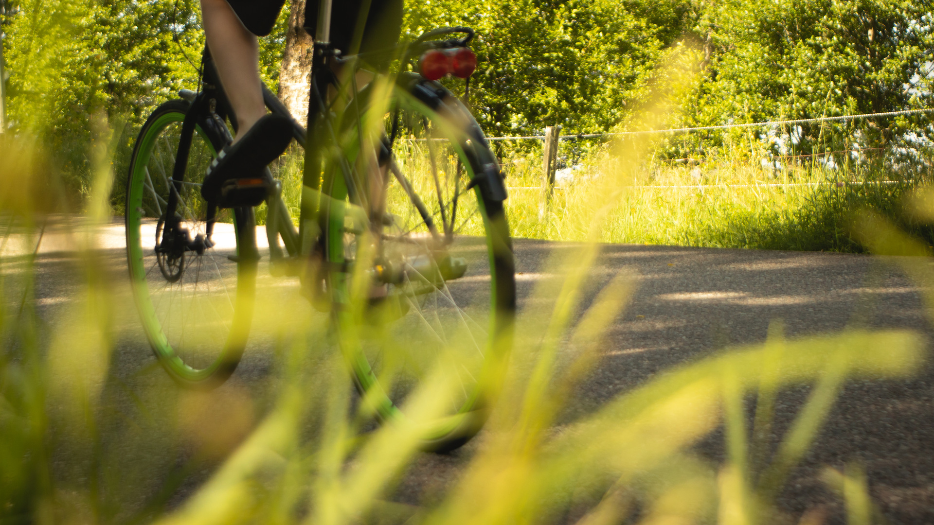 Cykel på asfaltsväg med gräs i förgrunden