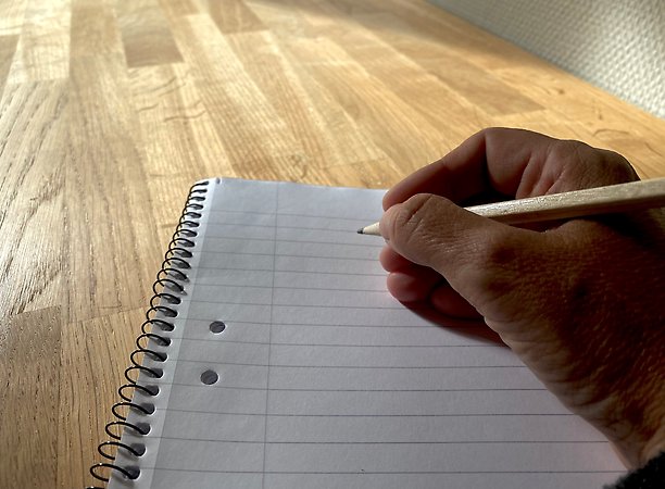 två personer som tittar på en datorskärm (AI-genererad)
