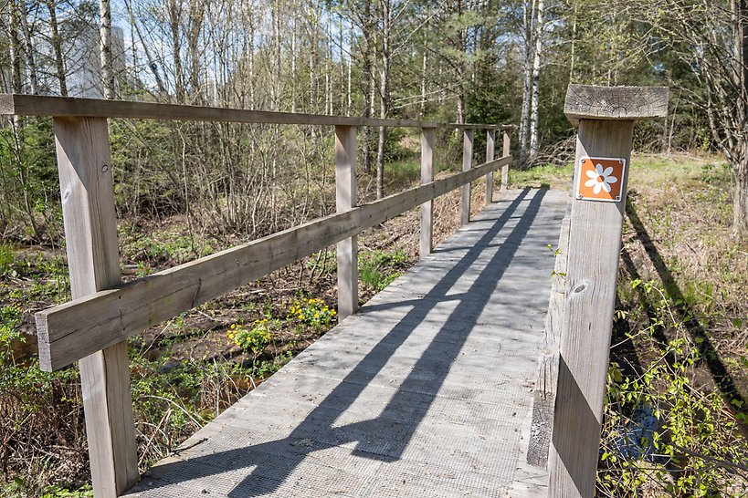 Träbro över dike i Djupadal